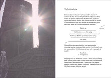 Load image into Gallery viewer, #88 Rick Buckley 'Black Bile'