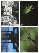 Load image into Gallery viewer, #95 &#39;David Blandy ‘The World After’&#39;
