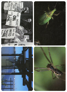 #95 'David Blandy ‘The World After’'