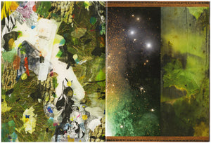 #78 Volker Eichelmann 'On Peacock Island'
