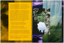 Load image into Gallery viewer, #78 Volker Eichelmann &#39;On Peacock Island&#39;
