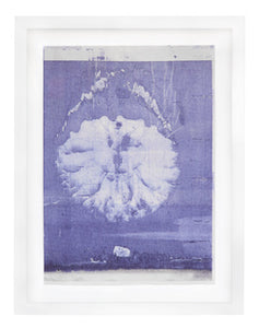 'patch – cyclone – hand' Paul Johnson